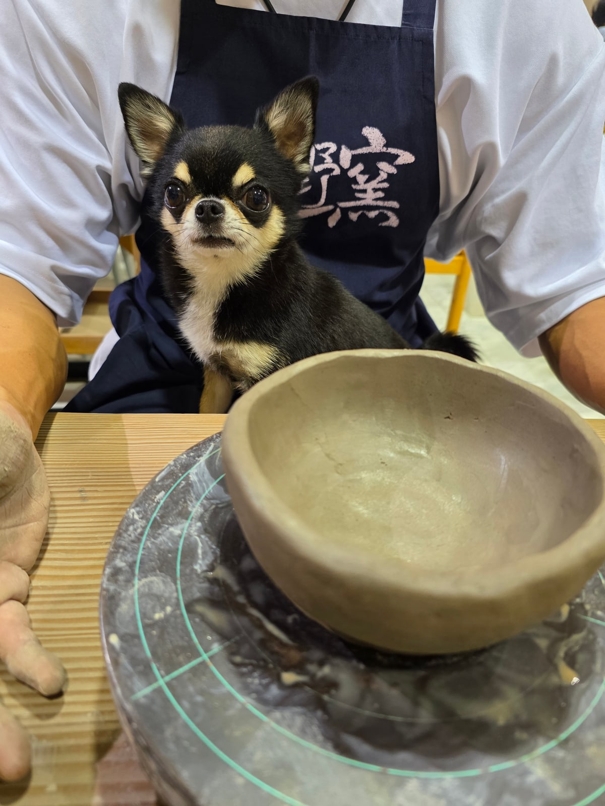 ろくろ台のそばでお茶碗を見つめるてん