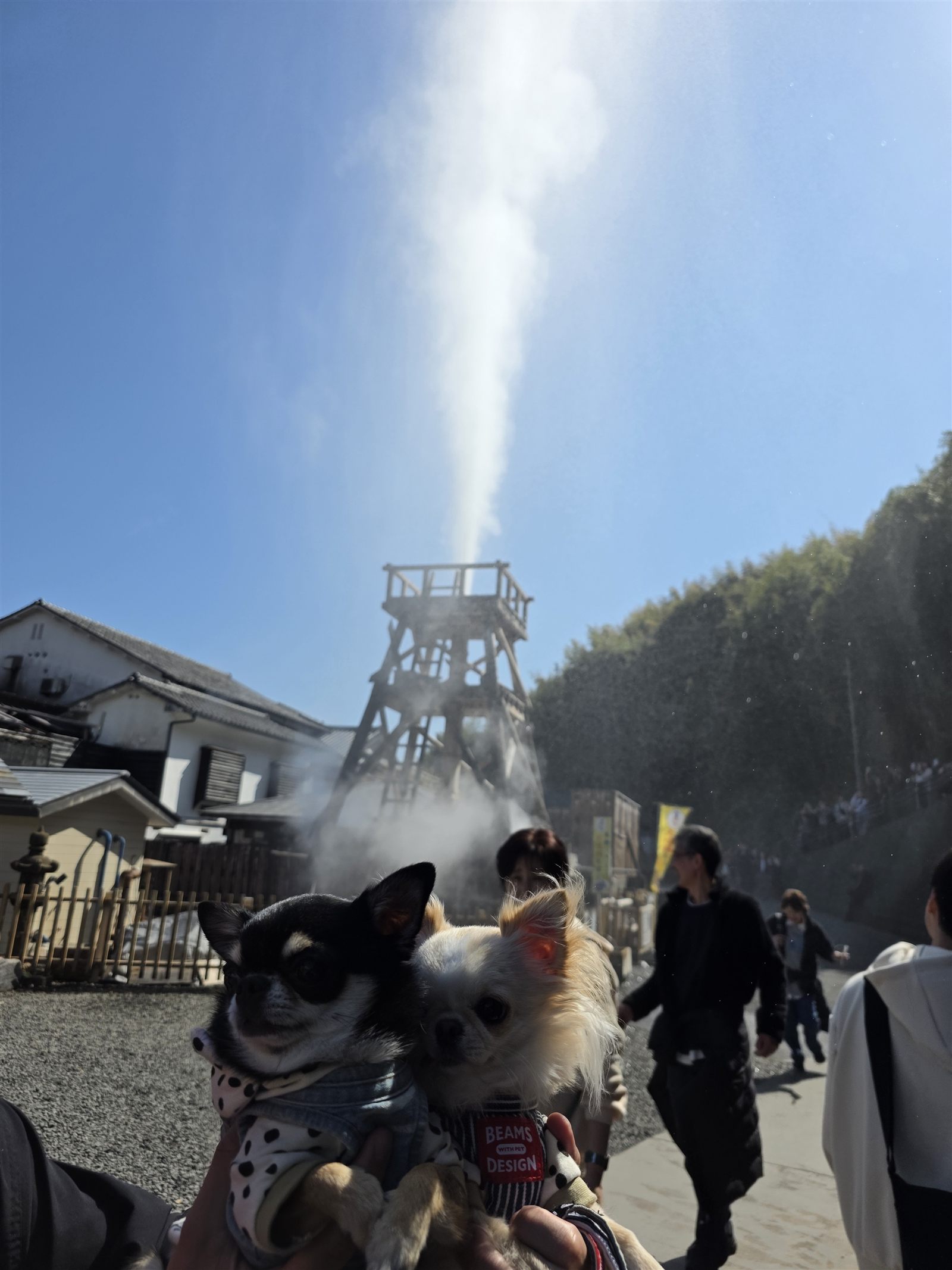 噴き上がる大噴湯を背にしたてんとくぅ