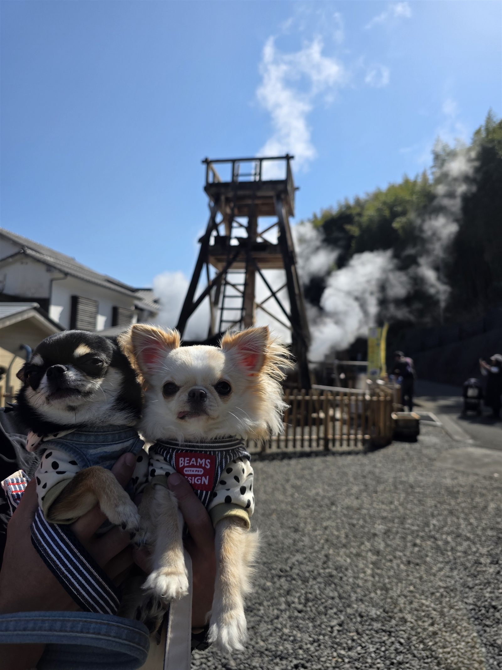 大噴湯の櫓と湯けむりをバックにしたてんとくぅ