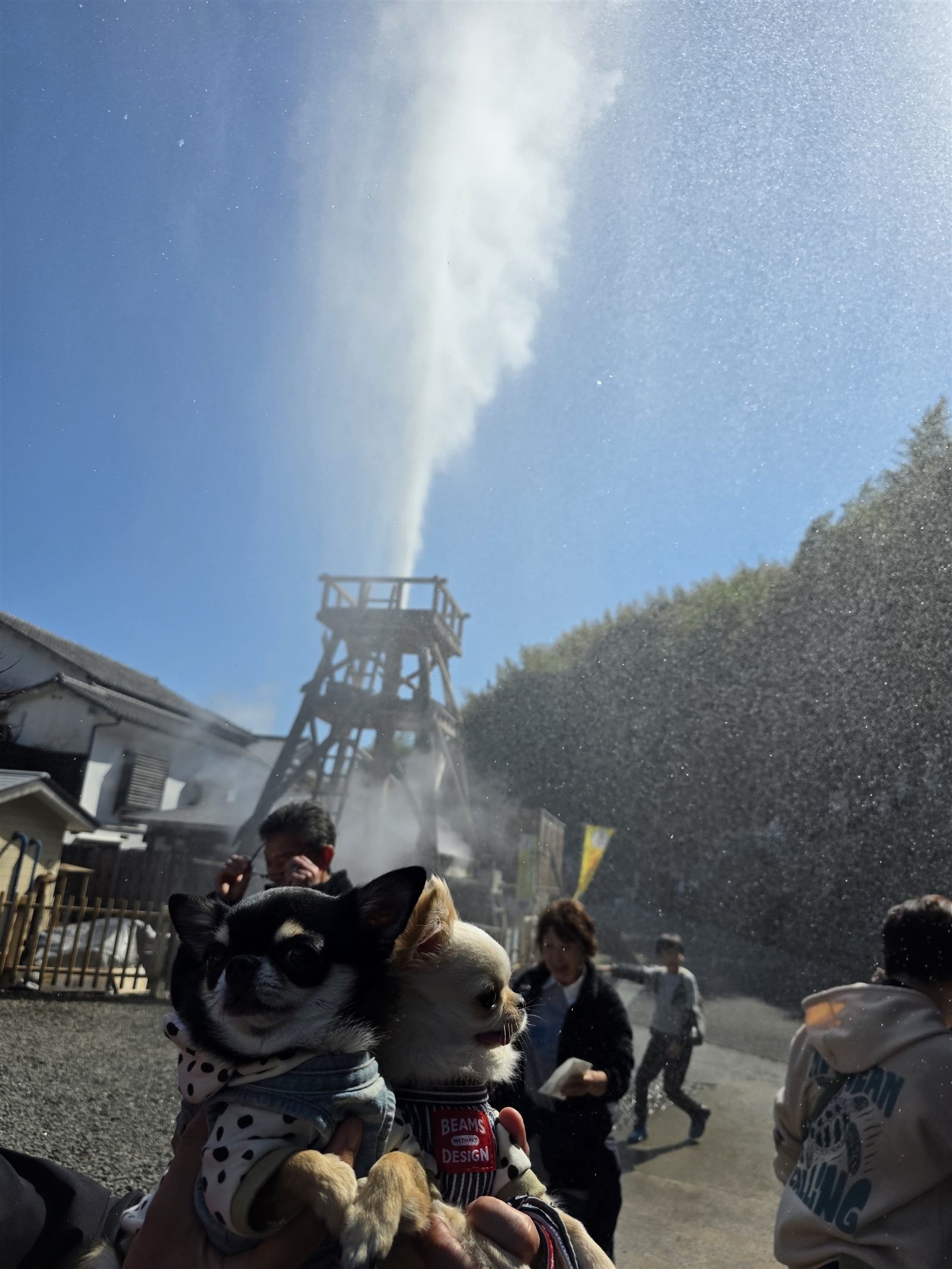 飛沫をあげて噴き上がる大噴湯とてん・くぅ