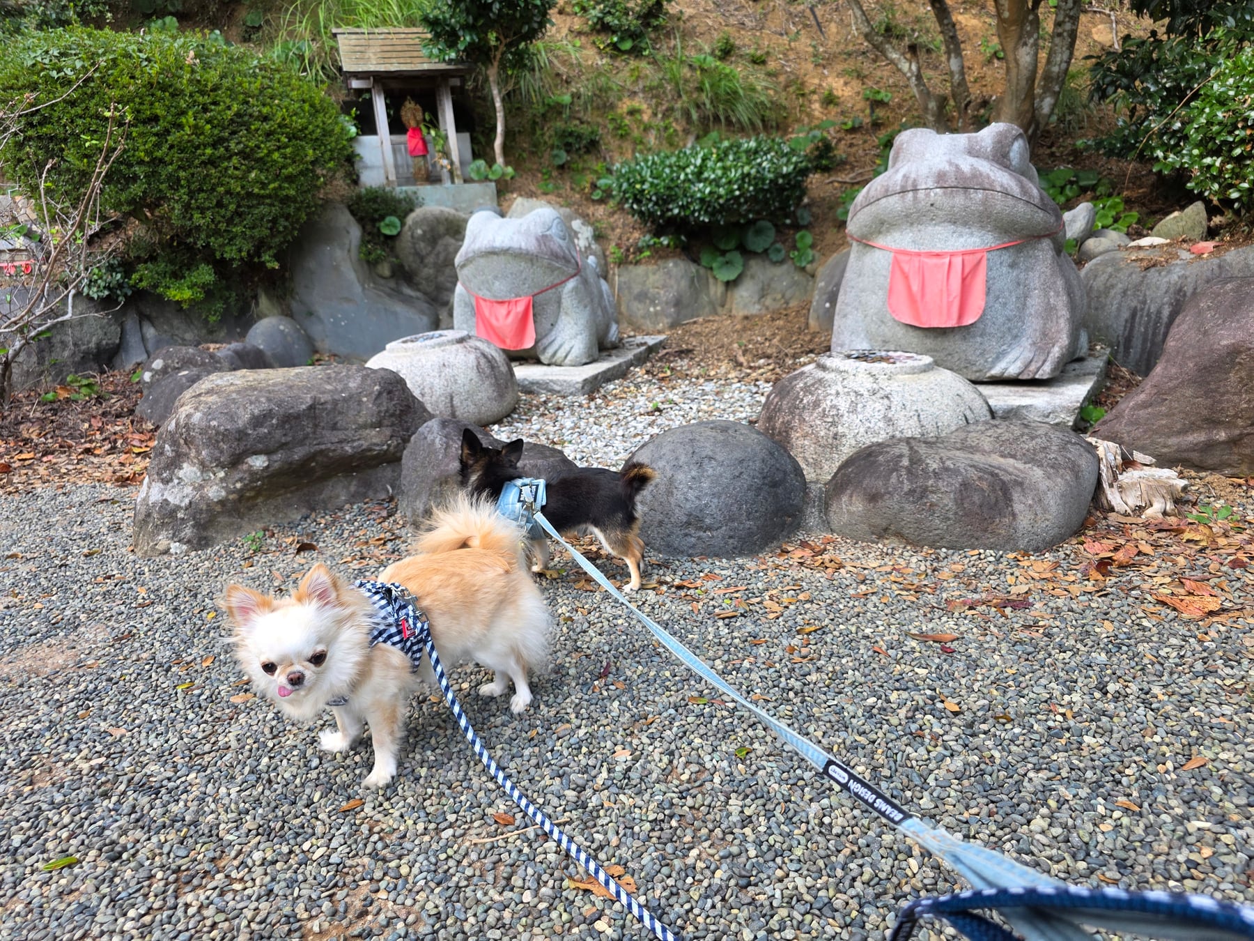 寝姿山のカエルの石像とてんとくぅ