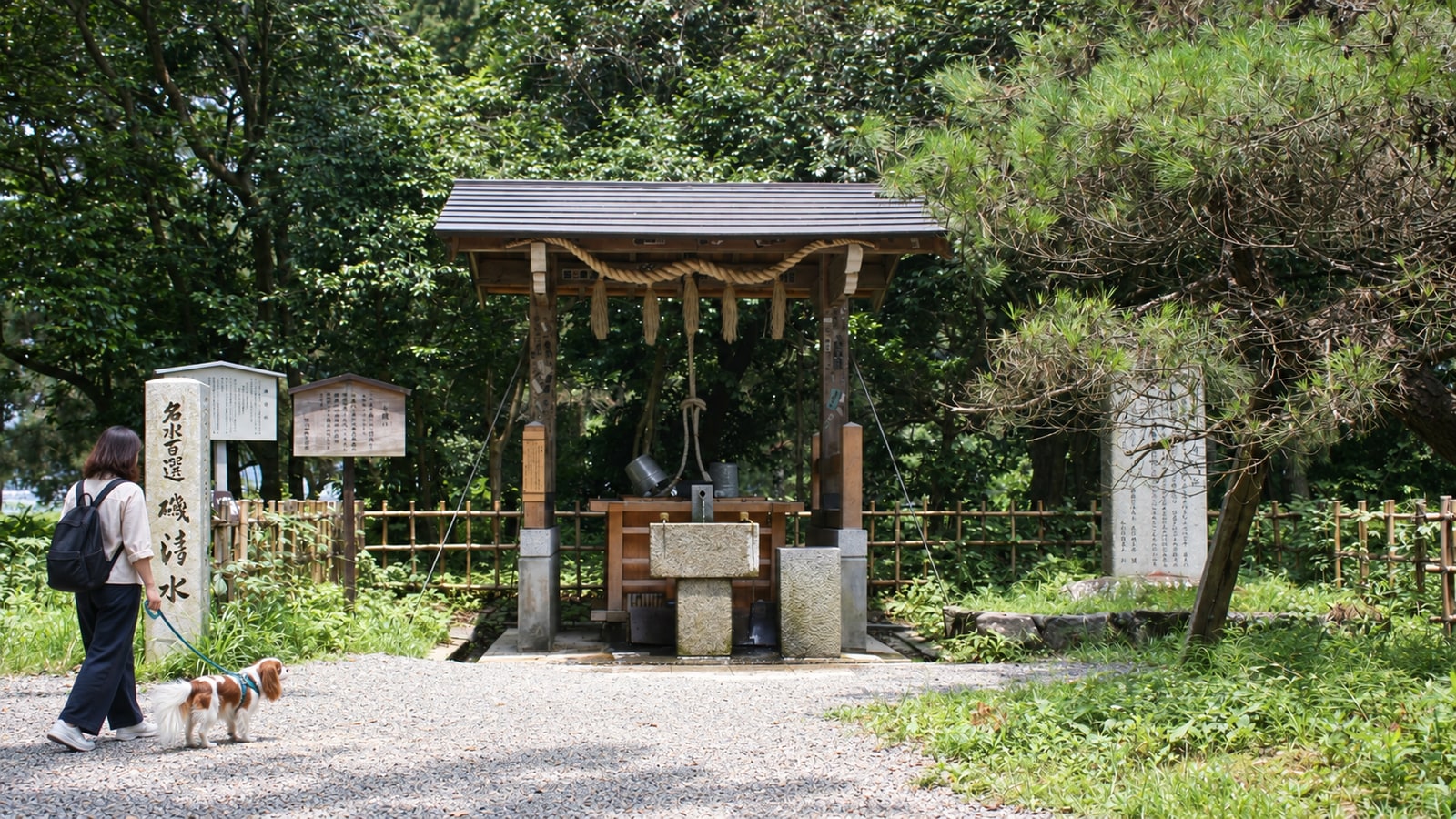 天橋立のAIイメージ画像3