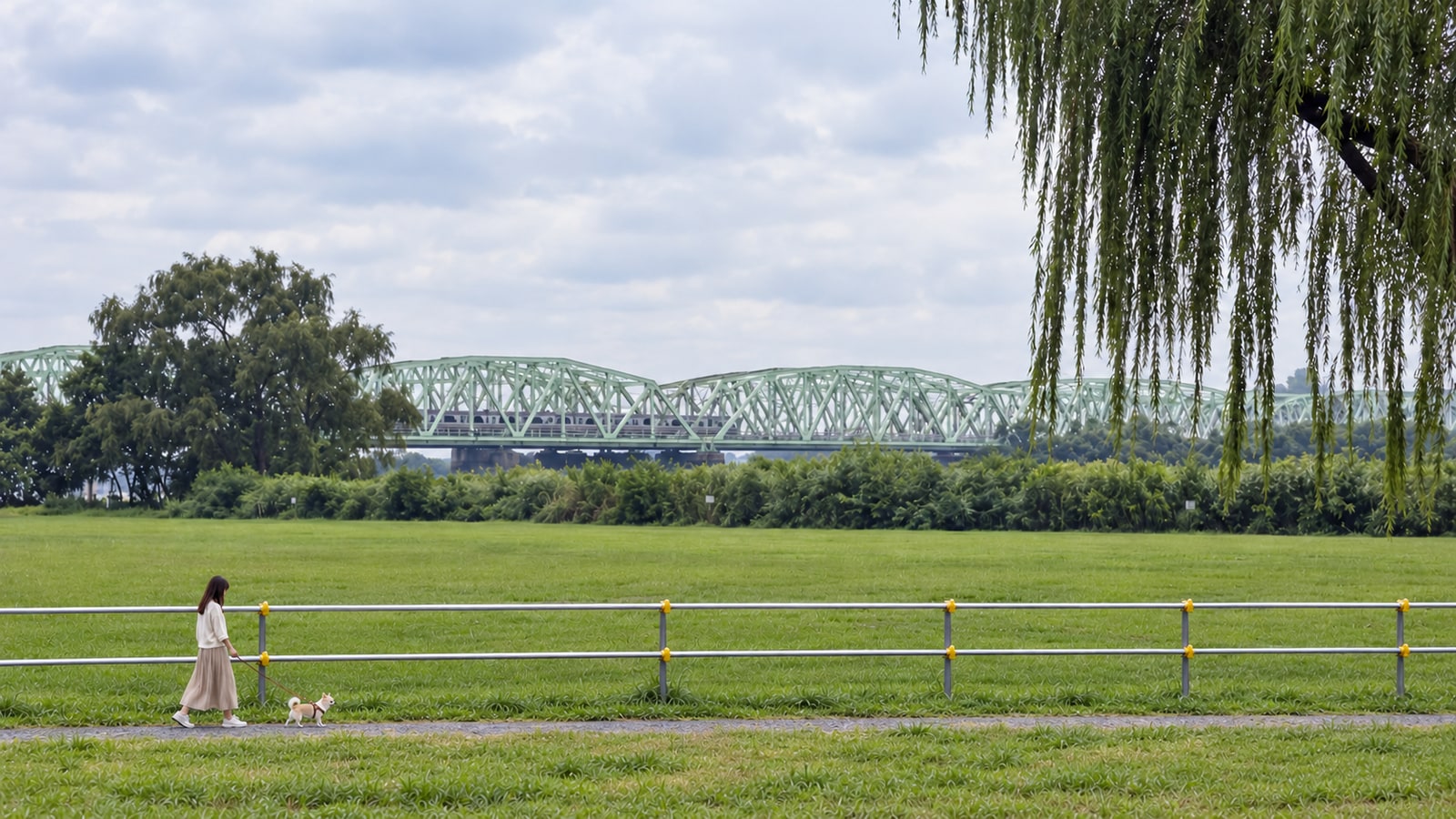 荒川運動公園ドッグランのAIイメージ画像4