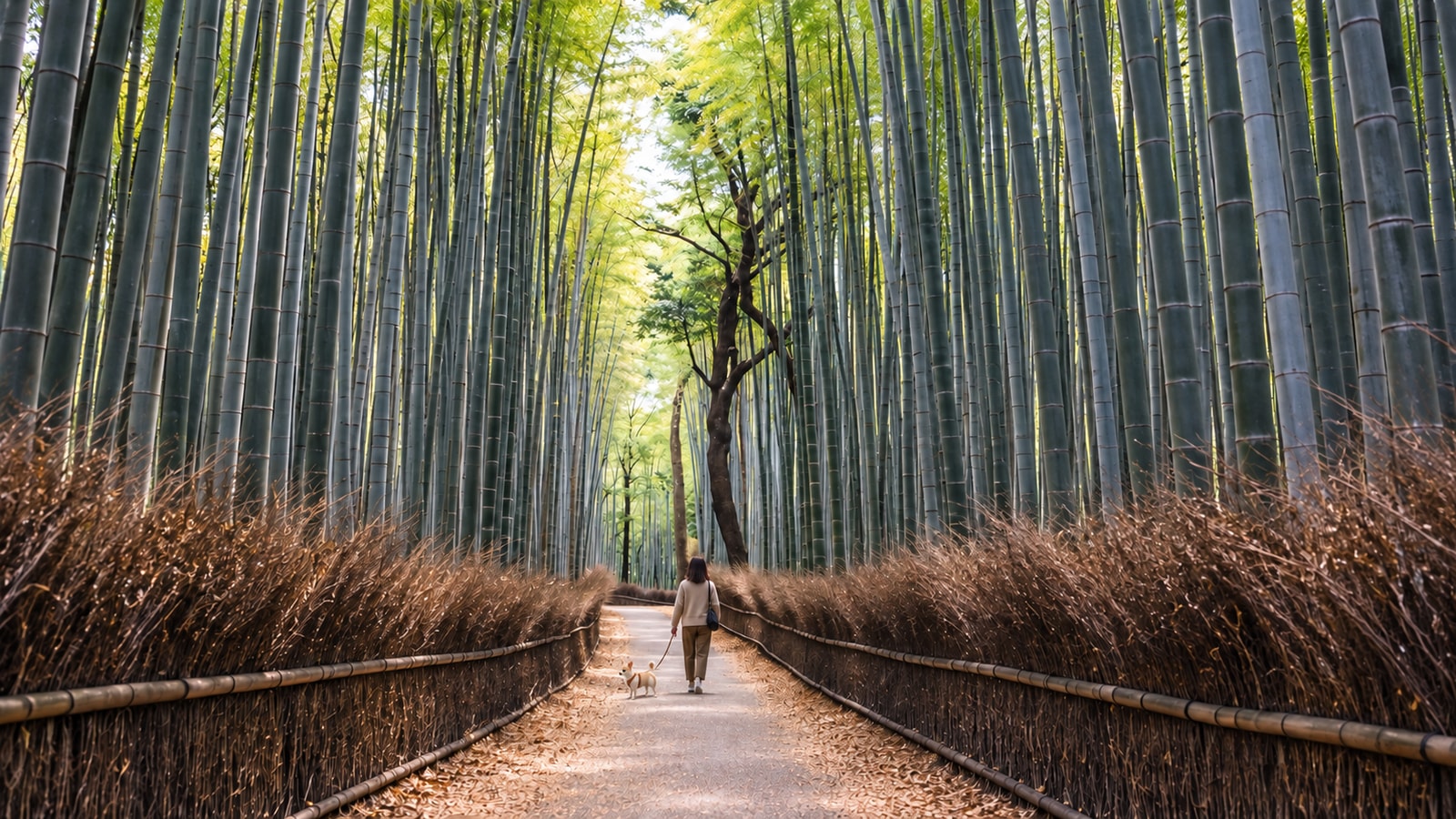 嵐山 竹林の小径・渡月橋（AIイメージ画像）