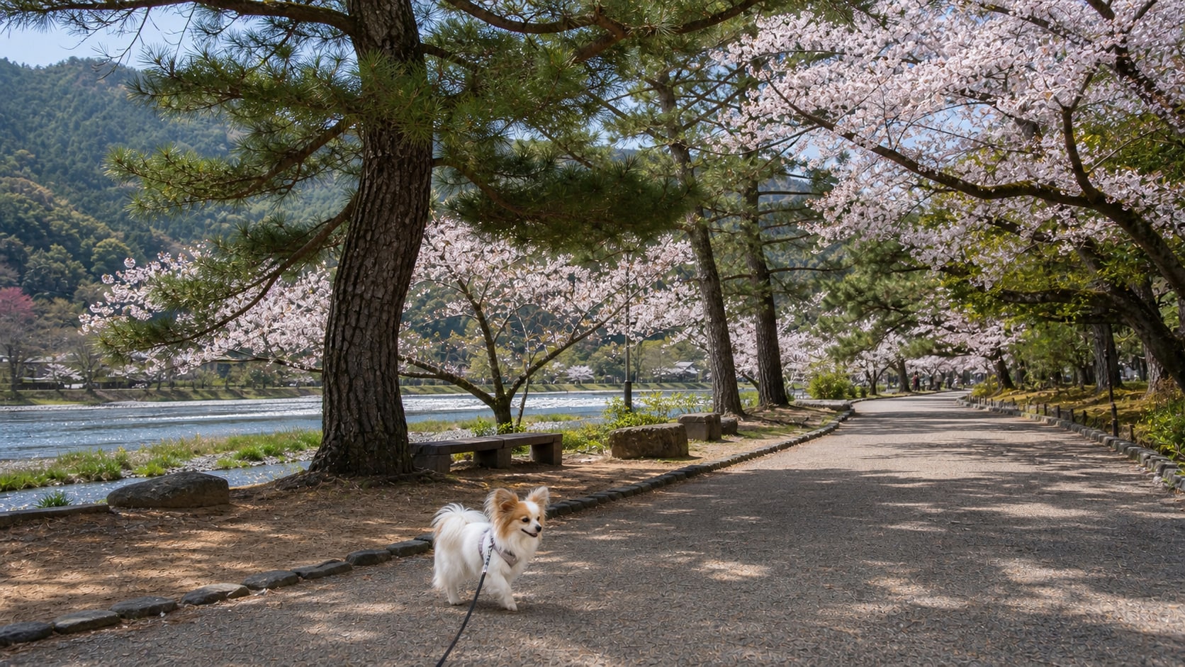 嵐山公園 中之島地区のAIイメージ画像2