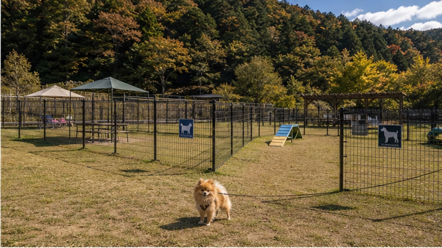 嵐山-高雄パークウエイ ドッグラン ワン遊ランドのAIイメージ画像2