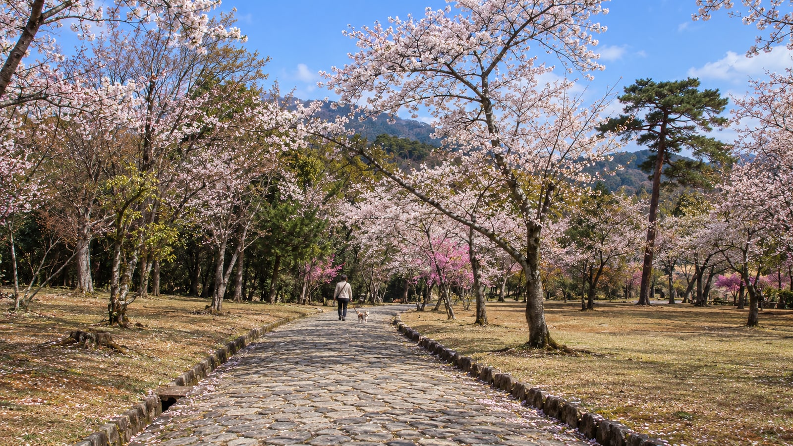 嵐山 渡月橋周辺のAIイメージ画像3