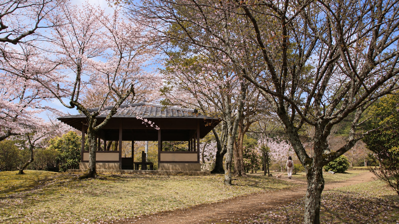 嵐山 渡月橋周辺のAIイメージ画像4