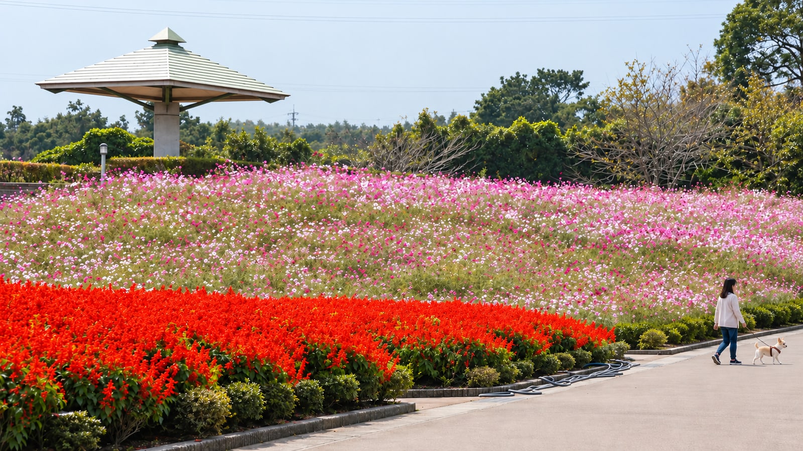 有明の森フラワー公園のAIイメージ画像4