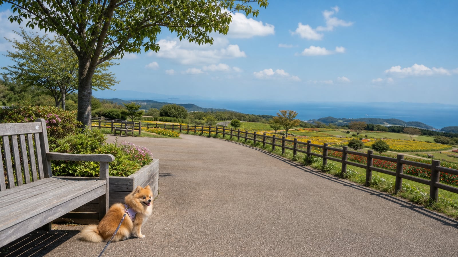 兵庫県立公園 あわじ花さじきのAIイメージ画像4