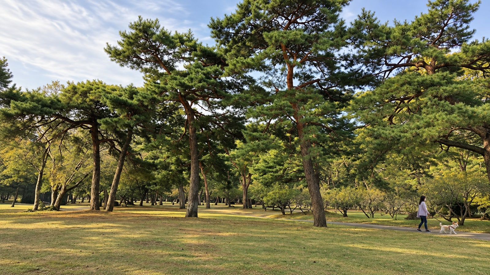 別府公園のAIイメージ画像2