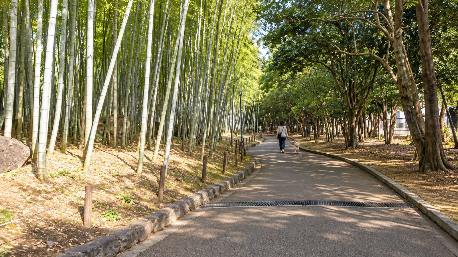 別府公園のAIイメージ画像3