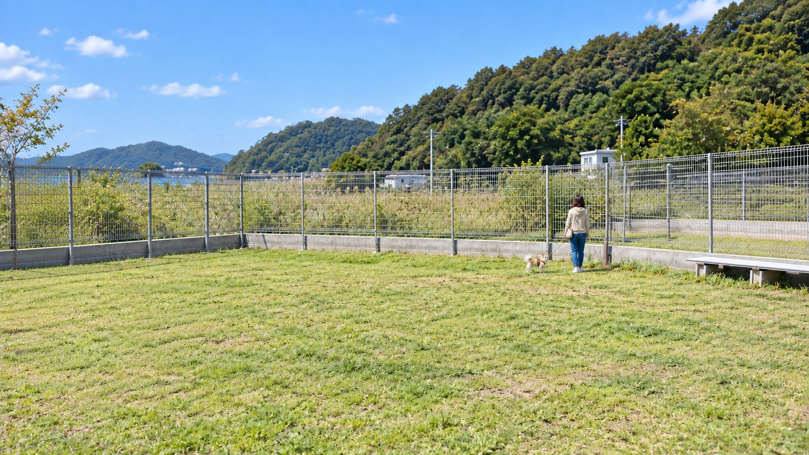 cafe and dogrun space ころりんのAIイメージ画像2