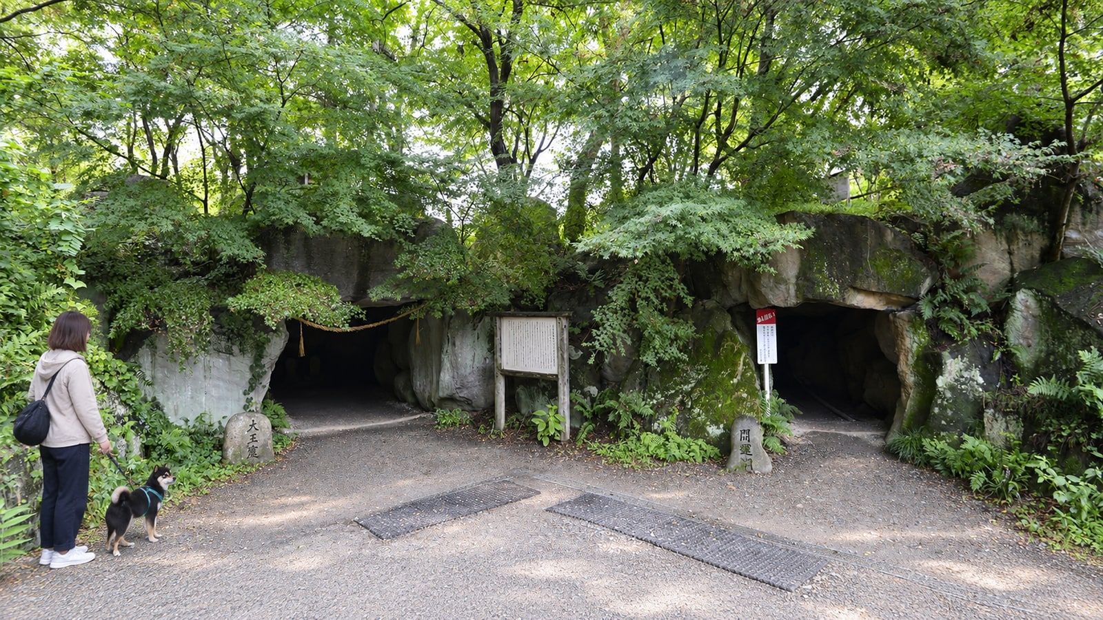 大王わさび農場のAIイメージ画像4