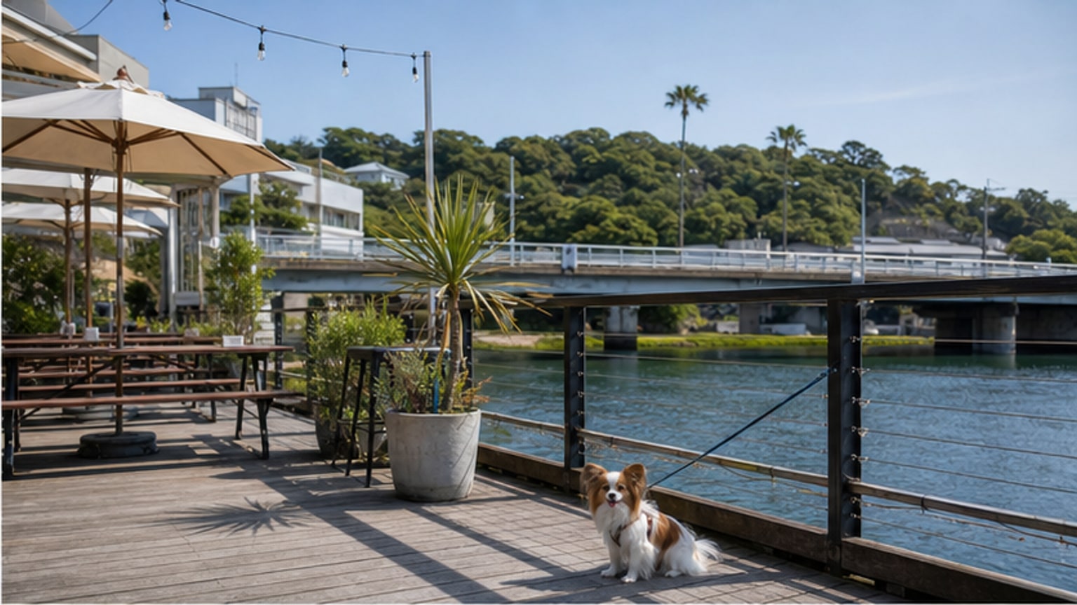 DIEGO BY THE RIVER（ディエゴ・バイ・ザ・リバー）のAIイメージ画像2