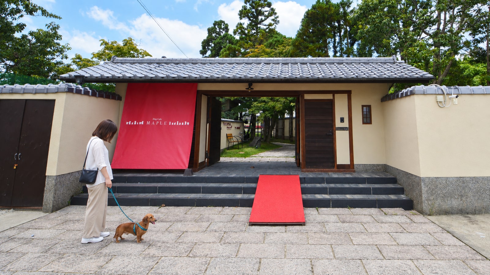 Dog Cafe MAPLE（AIイメージ画像）