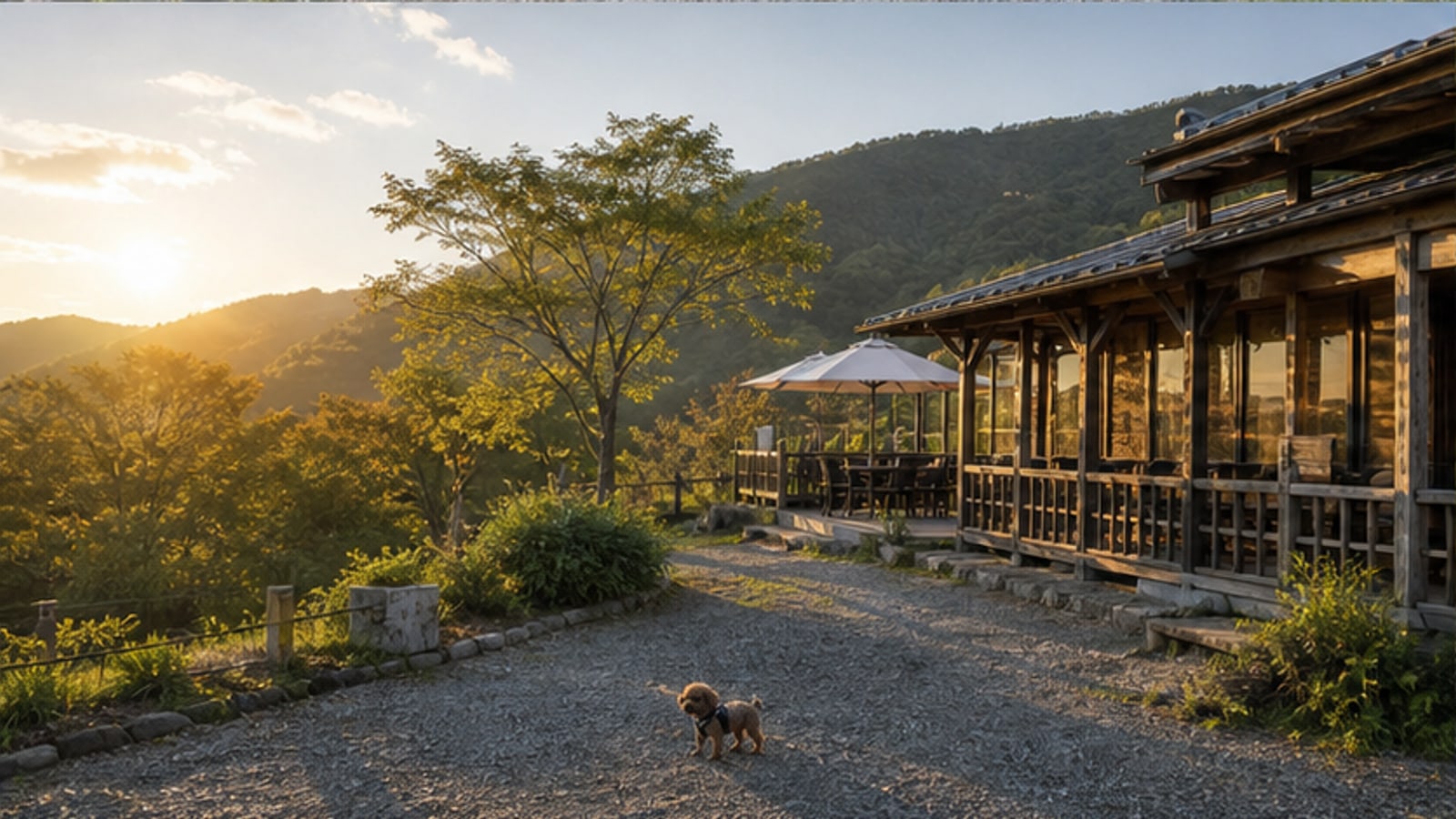 dog cafe PLATZ（ドッグカフェプラッツ）のAIイメージ画像3