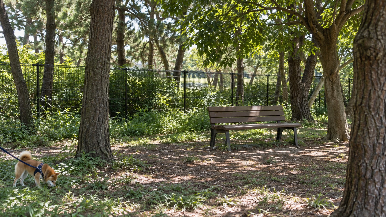 稲毛海浜公園 DOG PARK INAGEのAIイメージ画像2