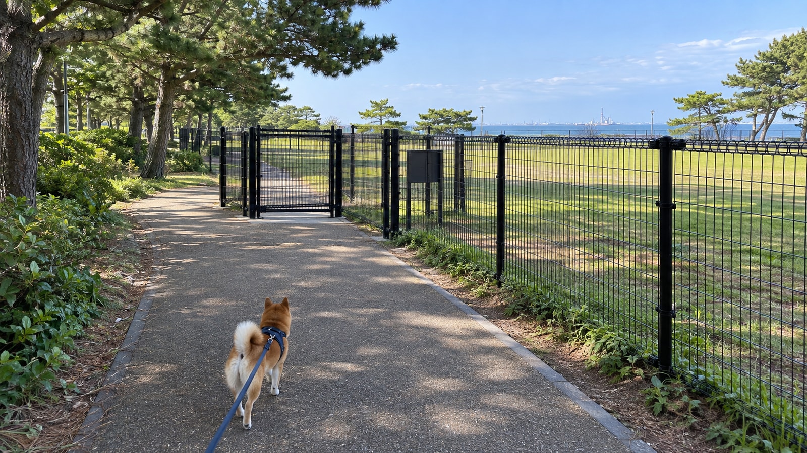 稲毛海浜公園 DOG PARK INAGEのAIイメージ画像3