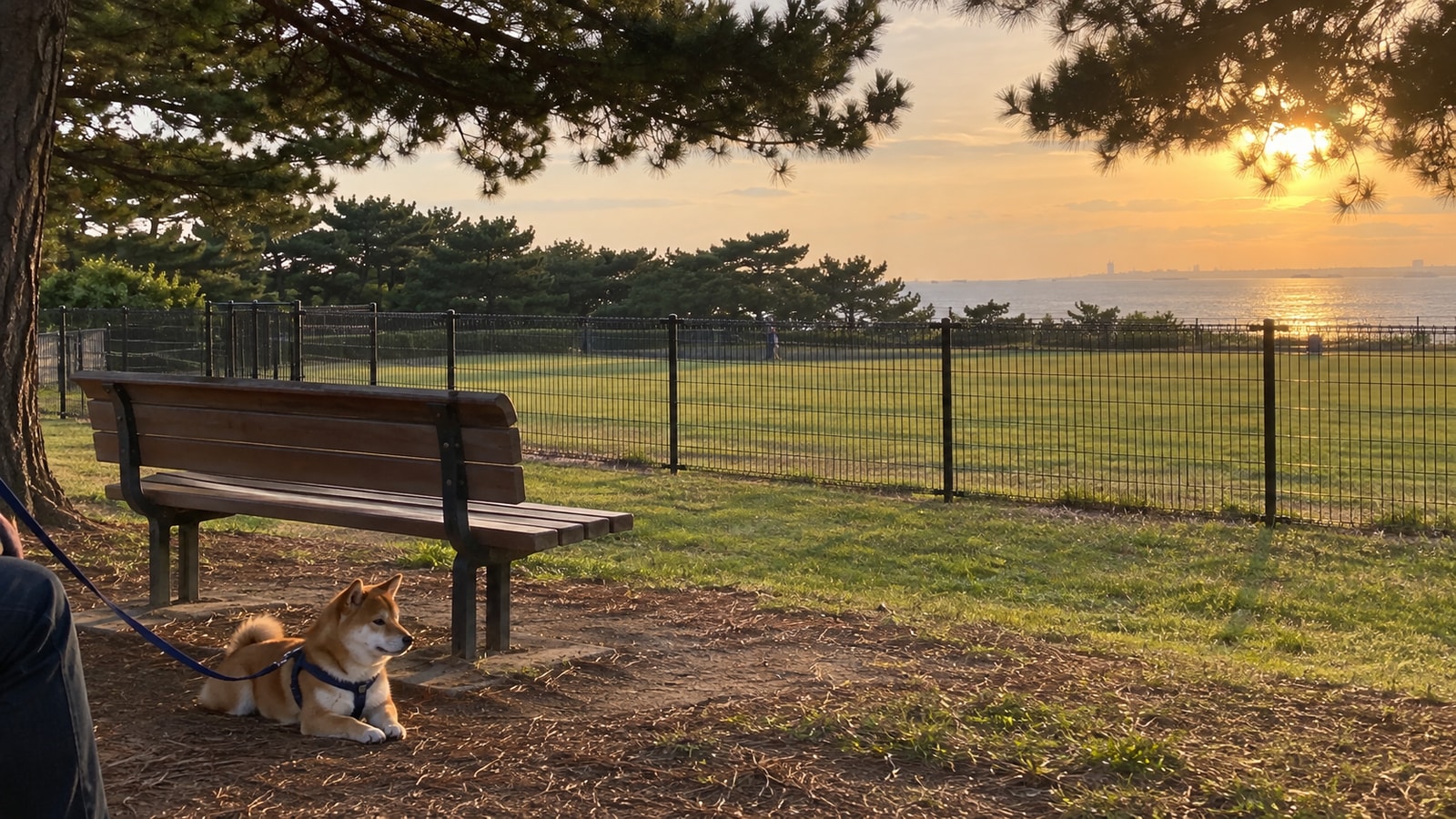 稲毛海浜公園 DOG PARK INAGEのAIイメージ画像4