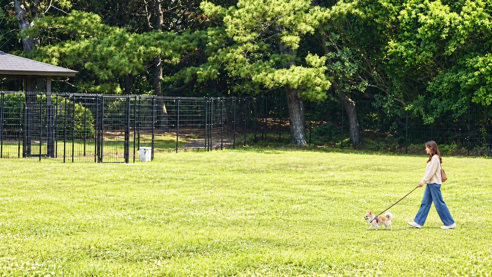 稲毛海浜公園 DOG PARK INAGE（AIイメージ画像）