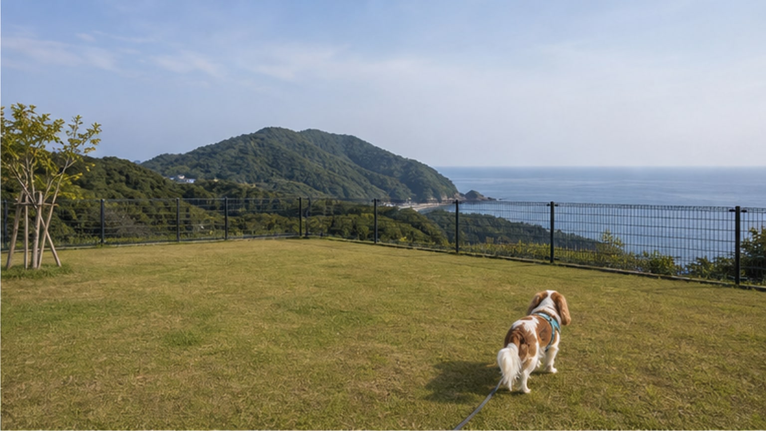 DOGGYWOOD（ドギウッド）淡路島のAIイメージ画像2