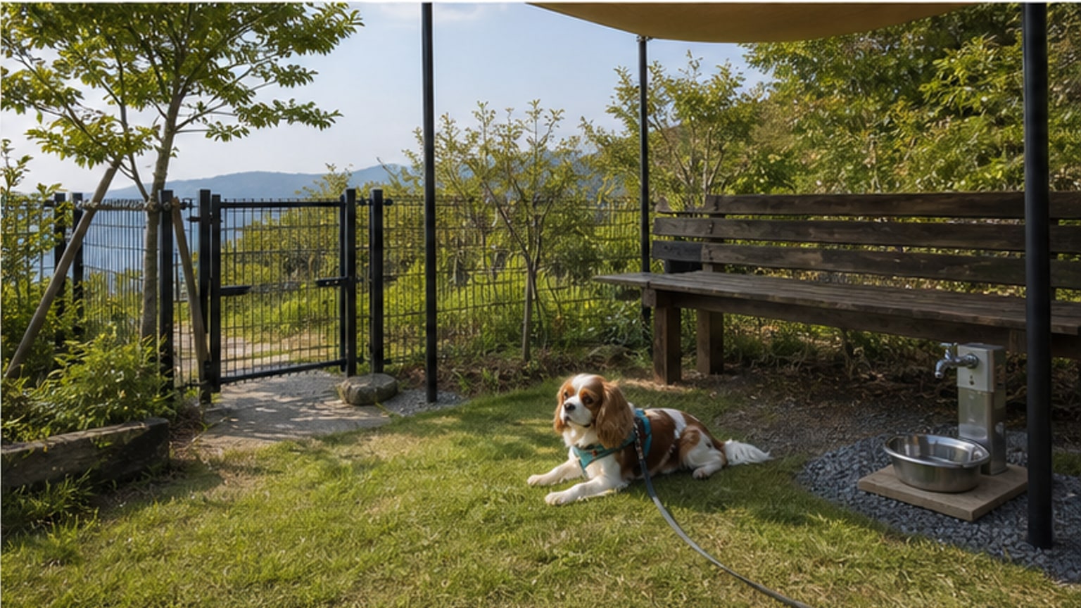 DOGGYWOOD（ドギウッド）淡路島のAIイメージ画像4