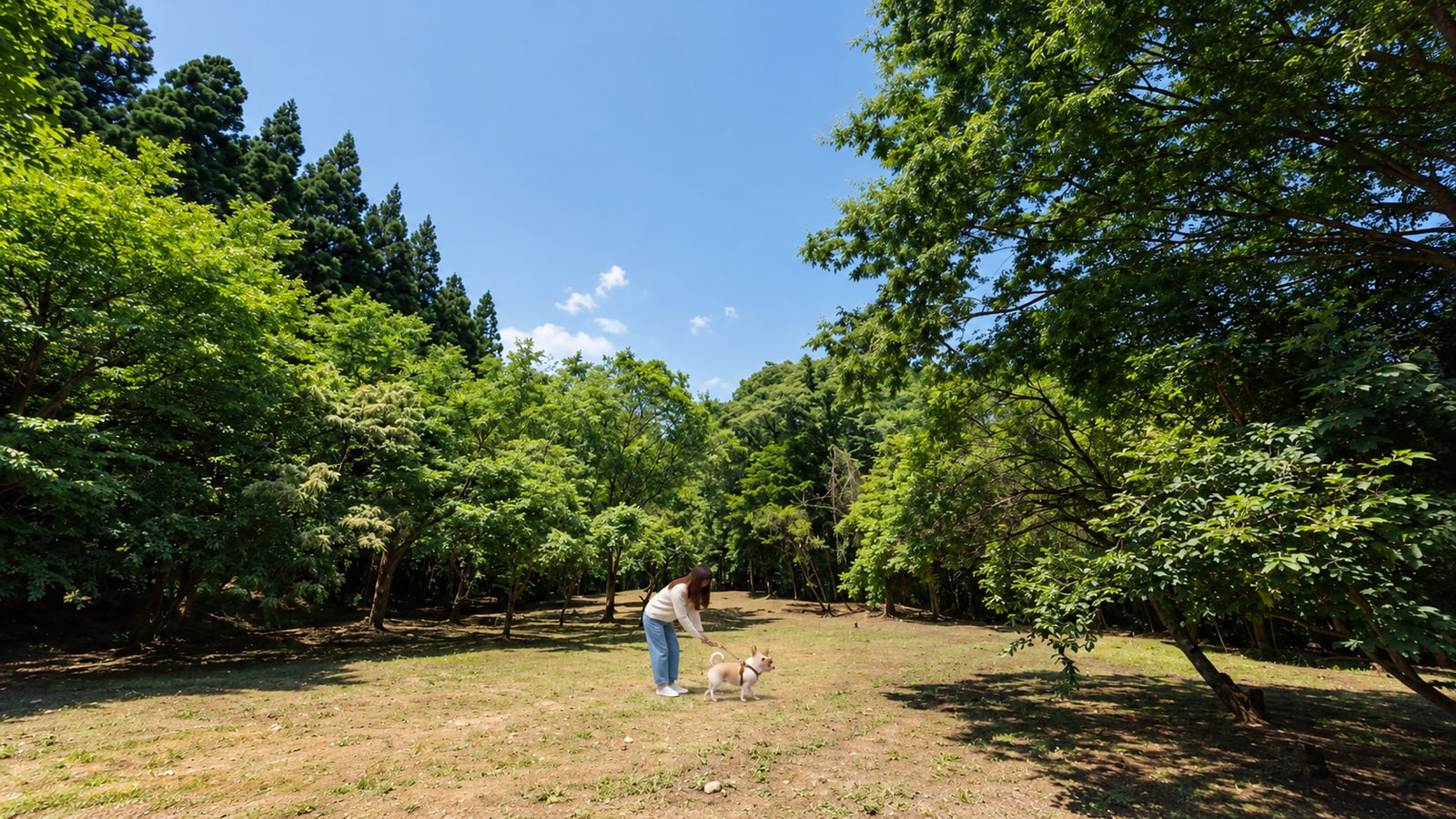 台ヶ森温泉 山野川旅館 DogVillage台ヶ森のAIイメージ画像3