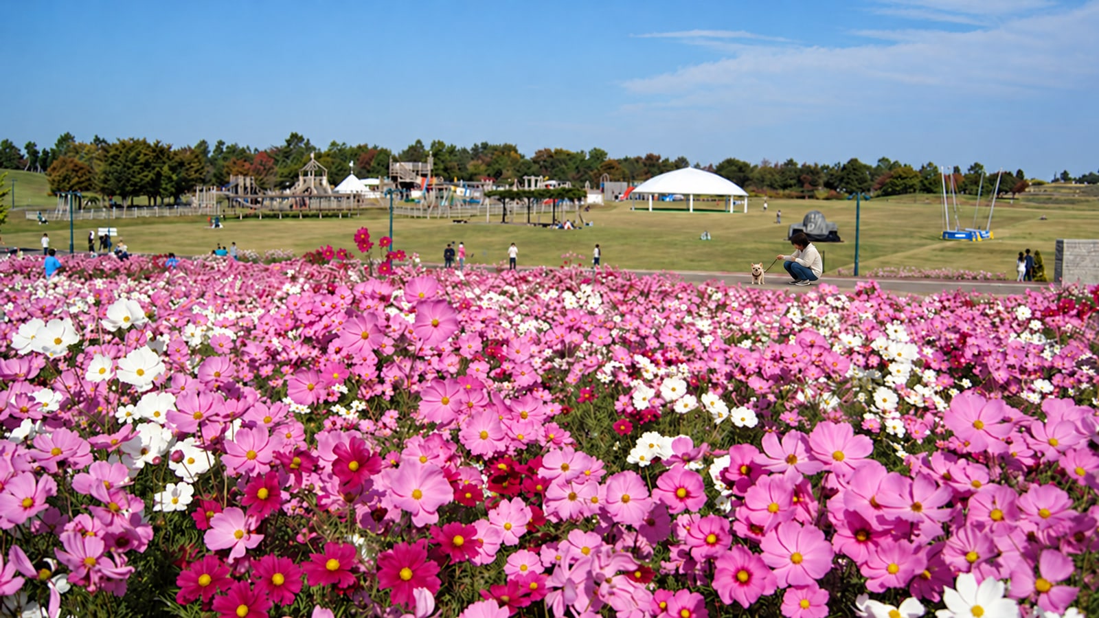 国営越後丘陵公園のAIイメージ画像2