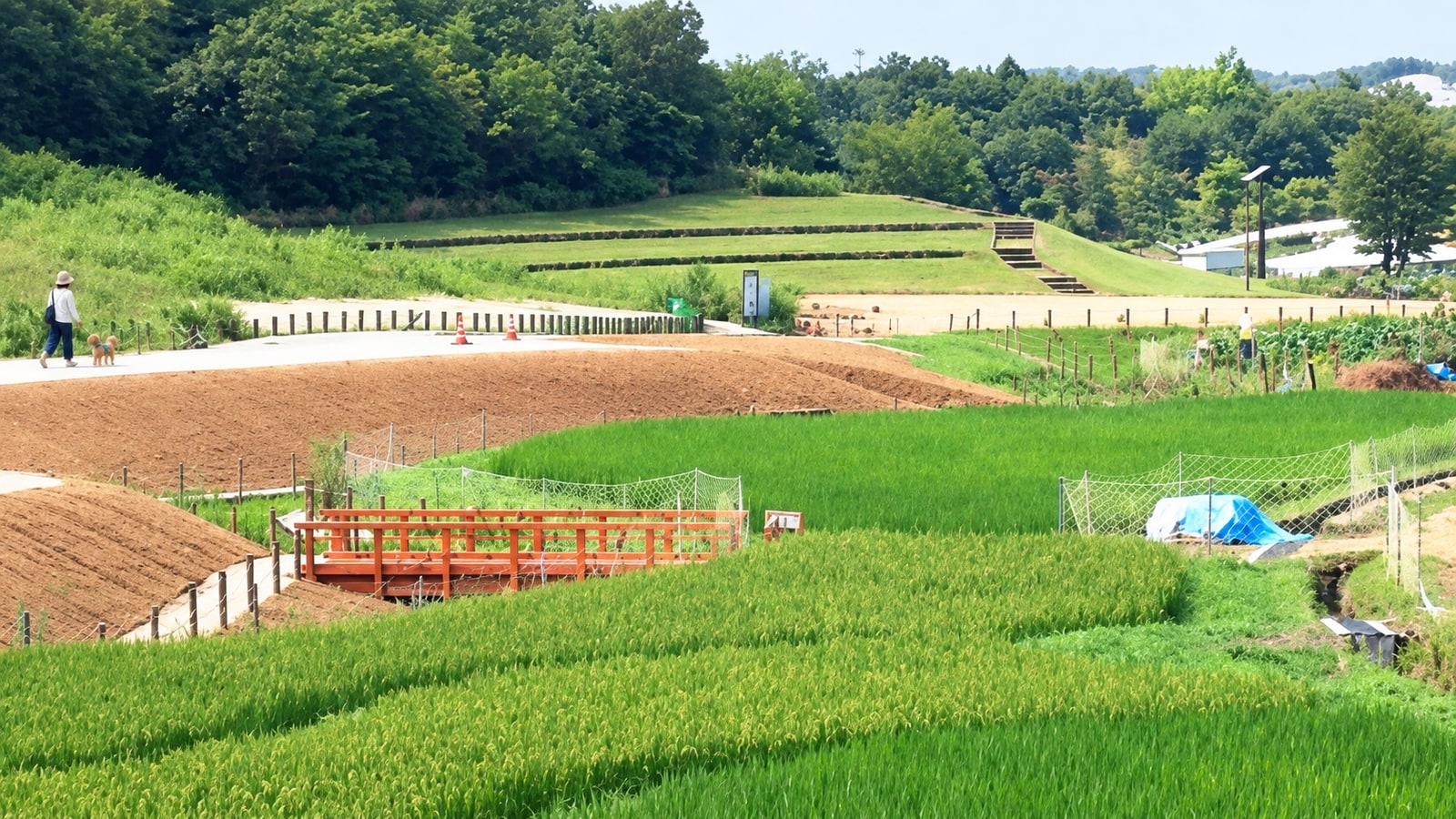 愛・地球博記念公園（モリコロパーク）のAIイメージ画像3