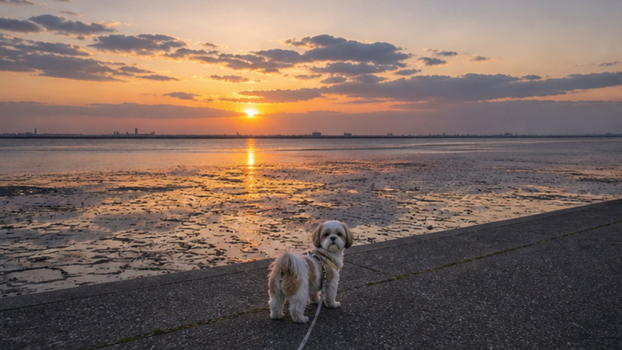 ふなばし三番瀬海浜公園のAIイメージ画像3