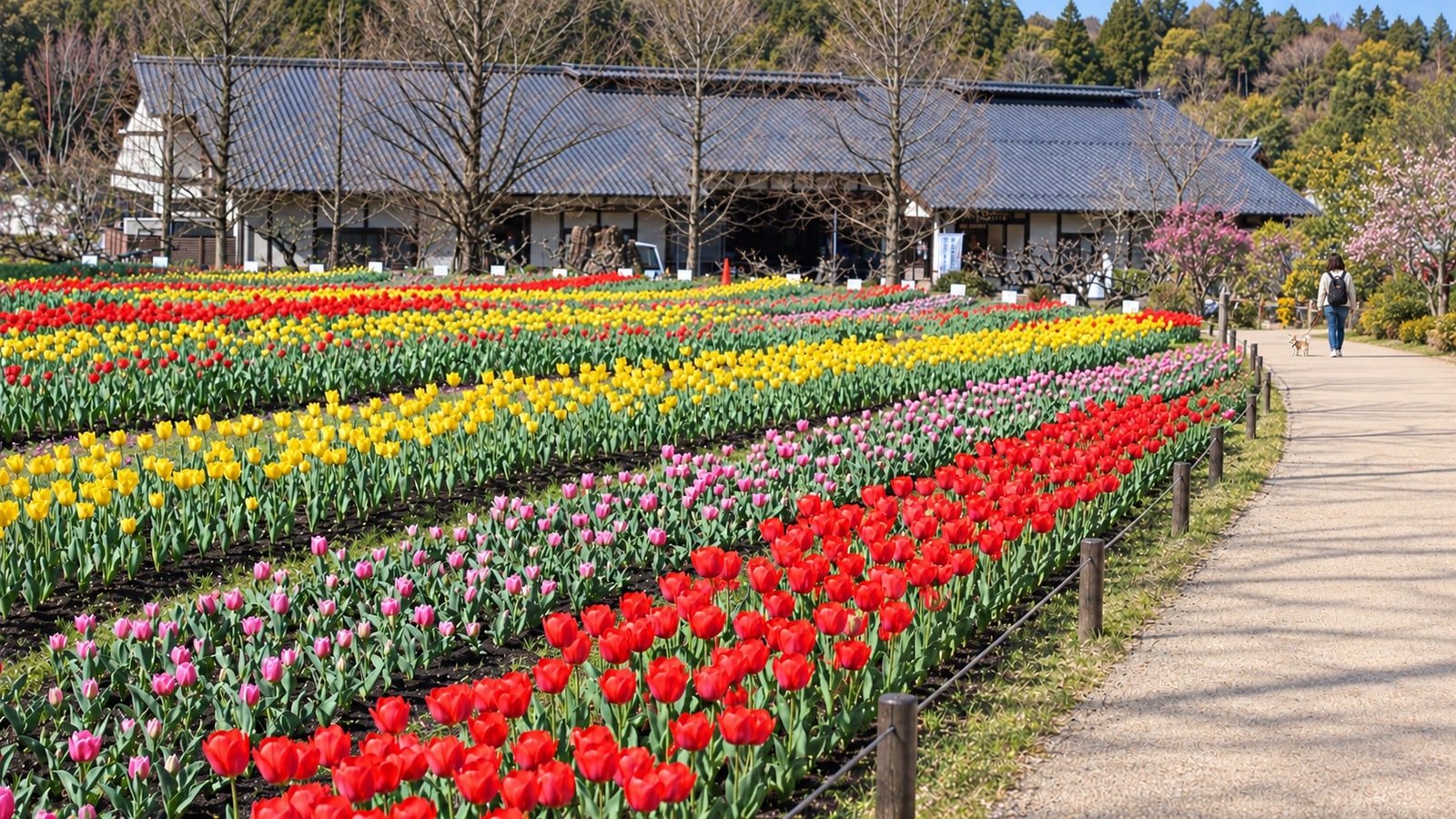 ぎふ清流里山公園（AIイメージ画像）
