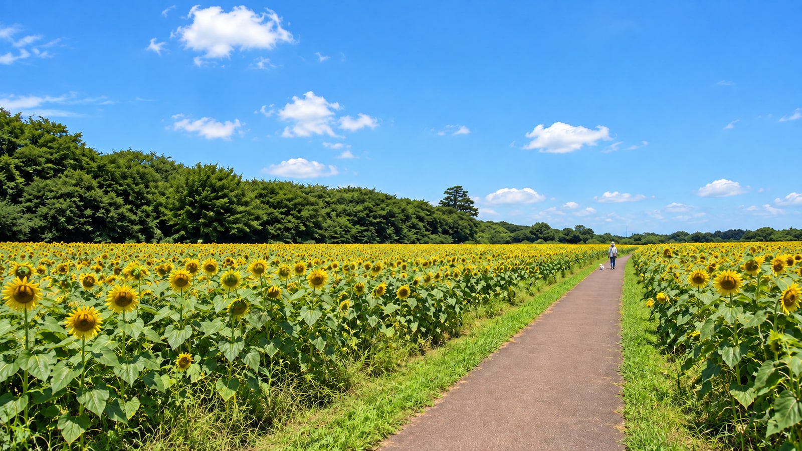 県営権現堂公園（幸手権現堂桜堤）のAIイメージ画像3