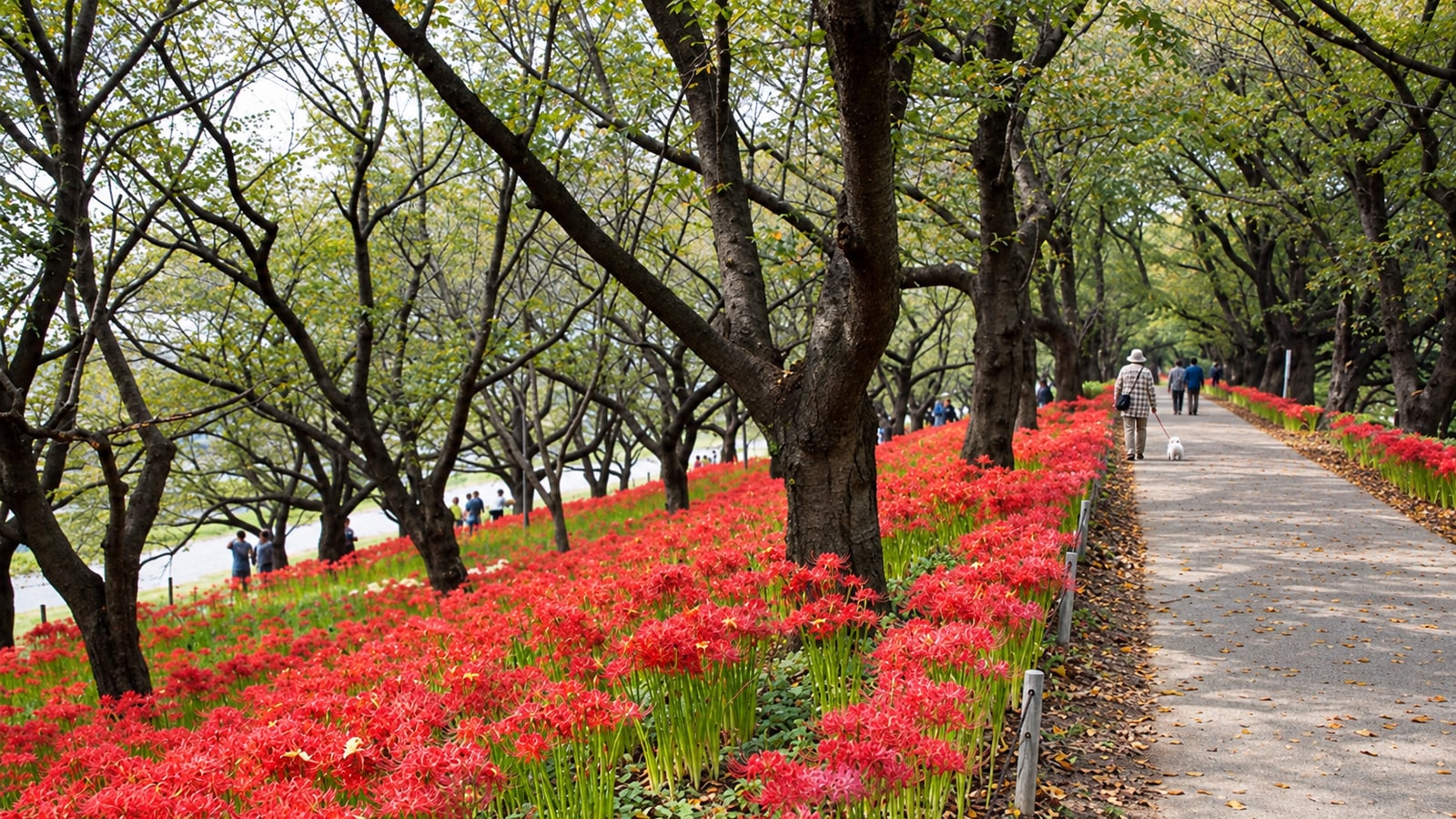 県営権現堂公園（幸手権現堂桜堤）のAIイメージ画像4