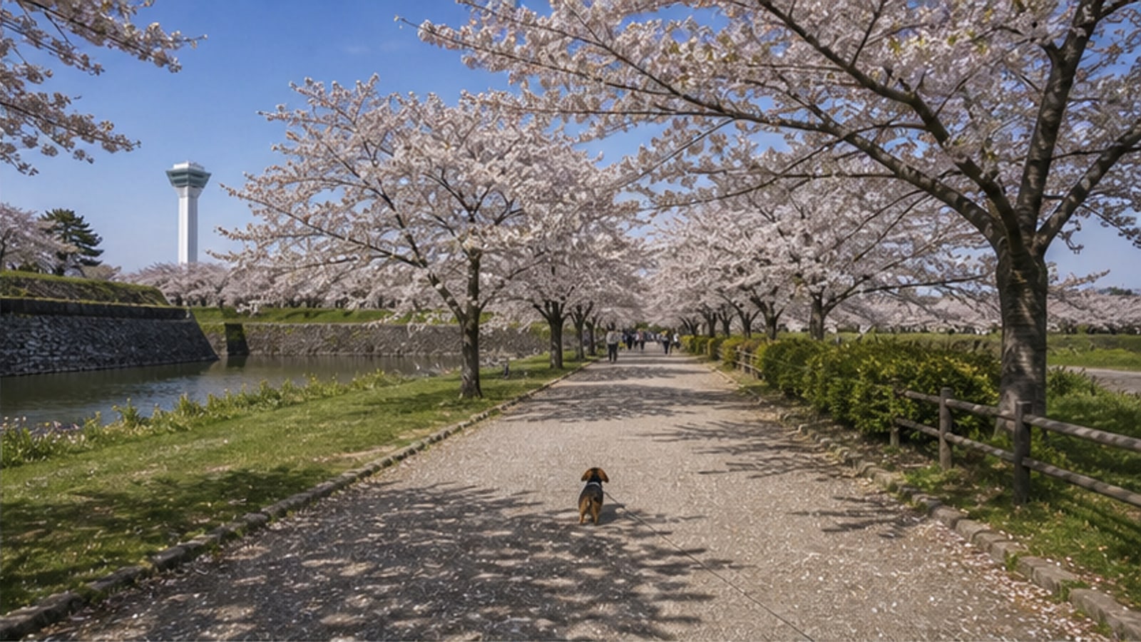 五稜郭公園のAIイメージ画像2