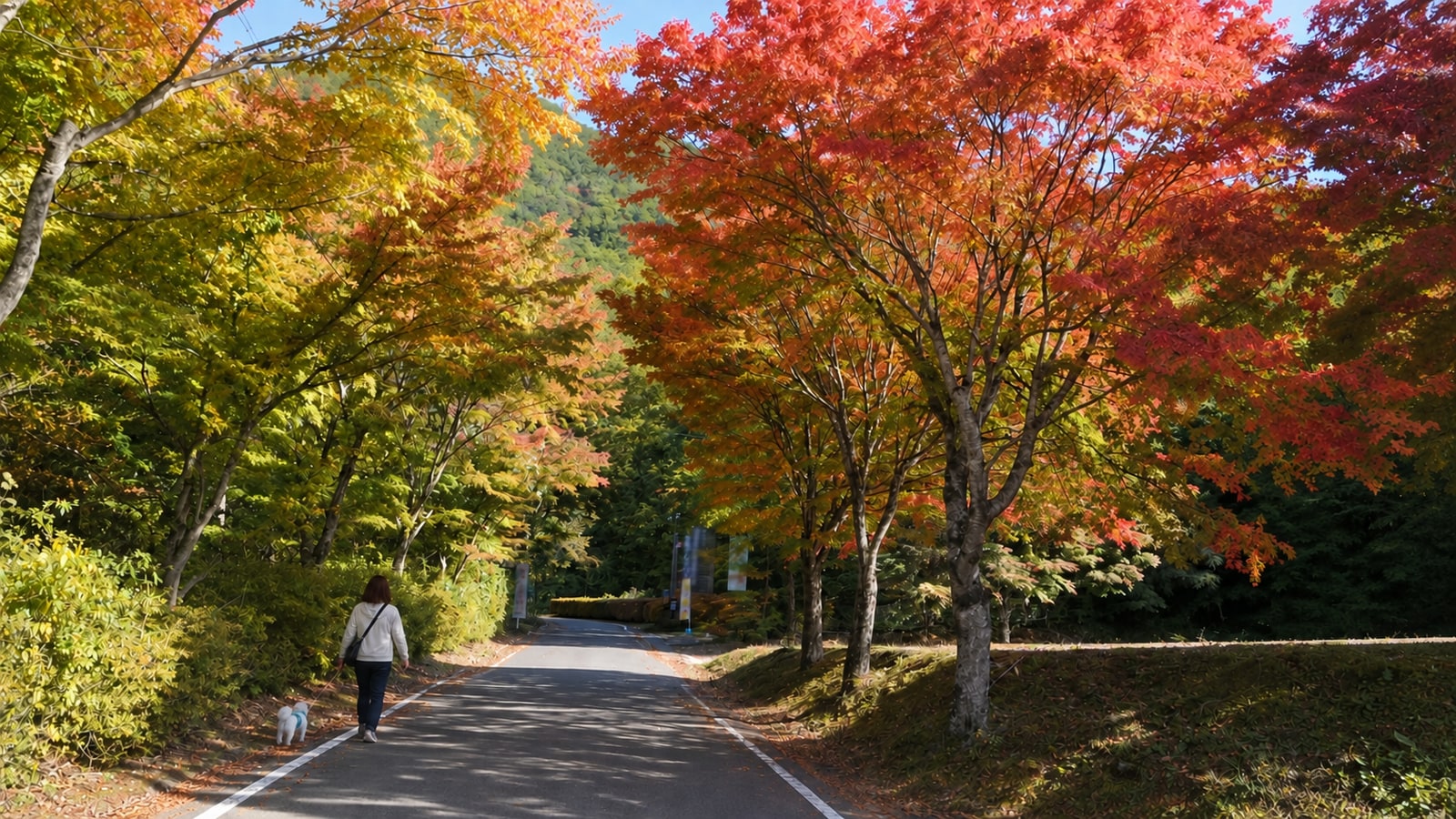 箱の森プレイパーク（塩原温泉家族旅行村）のAIイメージ画像4