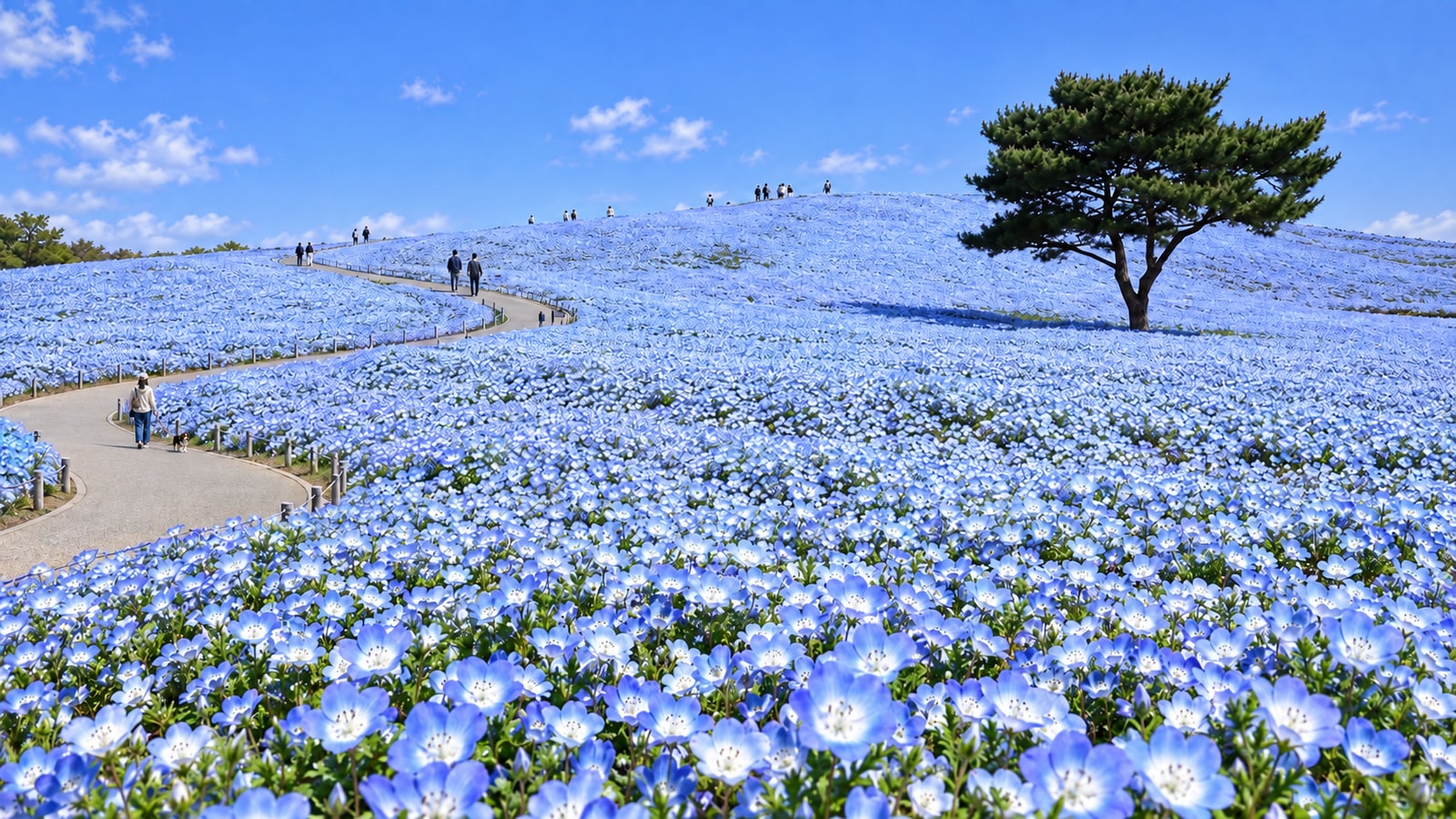 国営ひたち海浜公園（AIイメージ画像）
