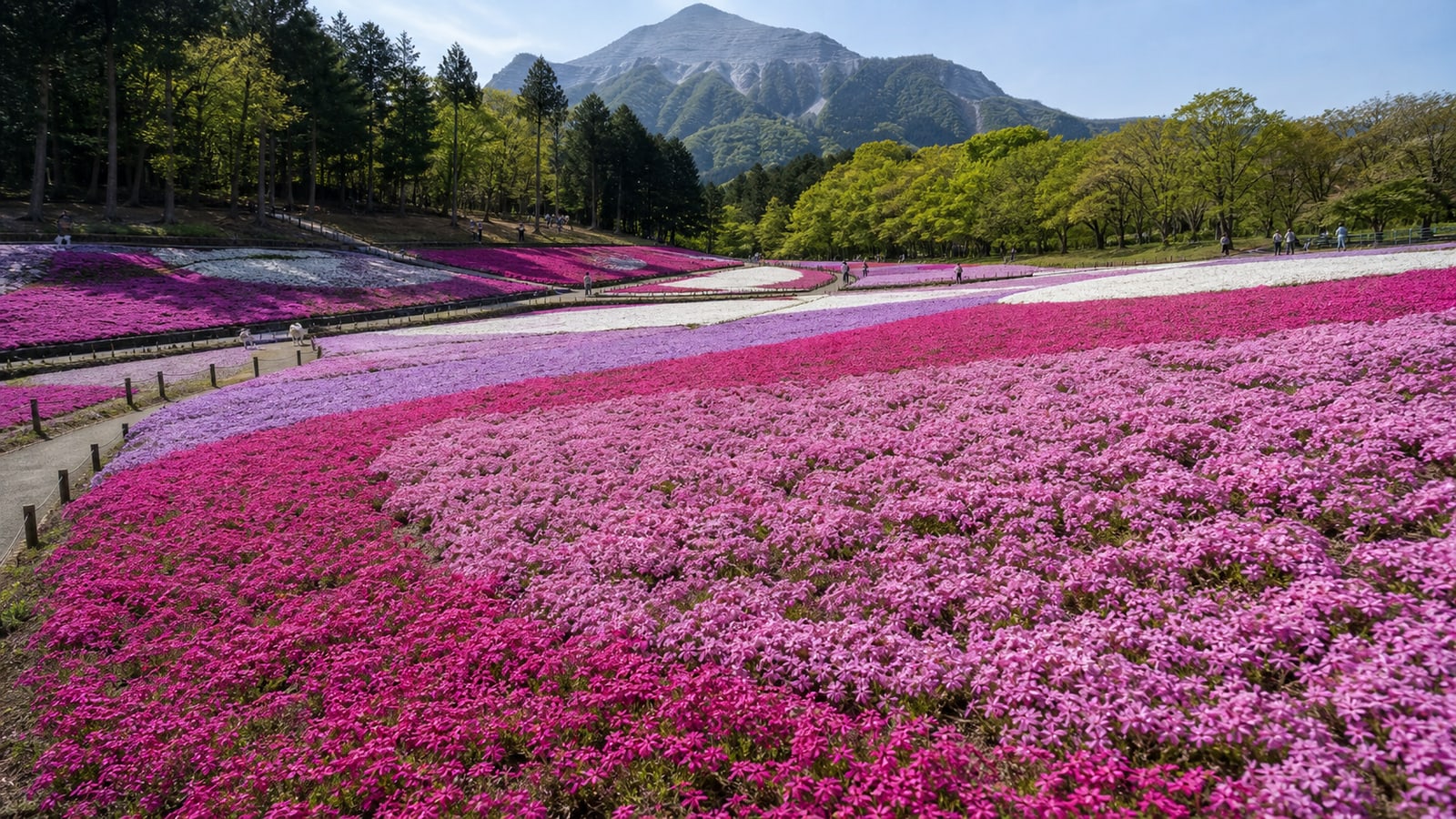 羊山公園のAIイメージ画像2