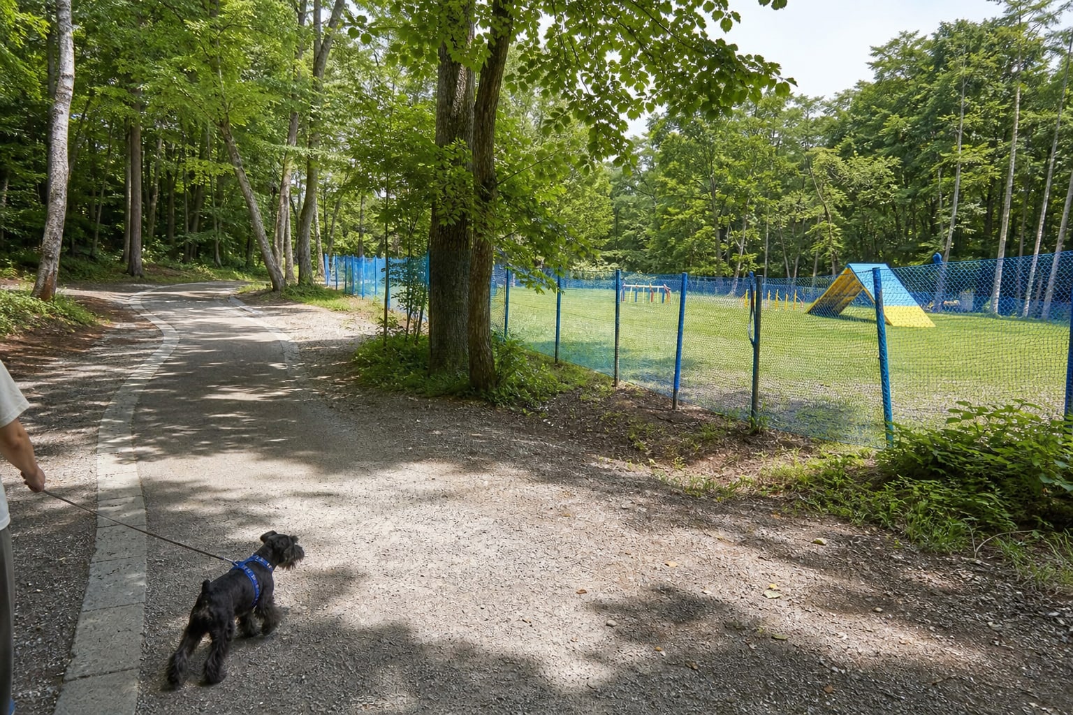 秋田県立北欧の杜公園 犬の冒険広場のAIイメージ画像3