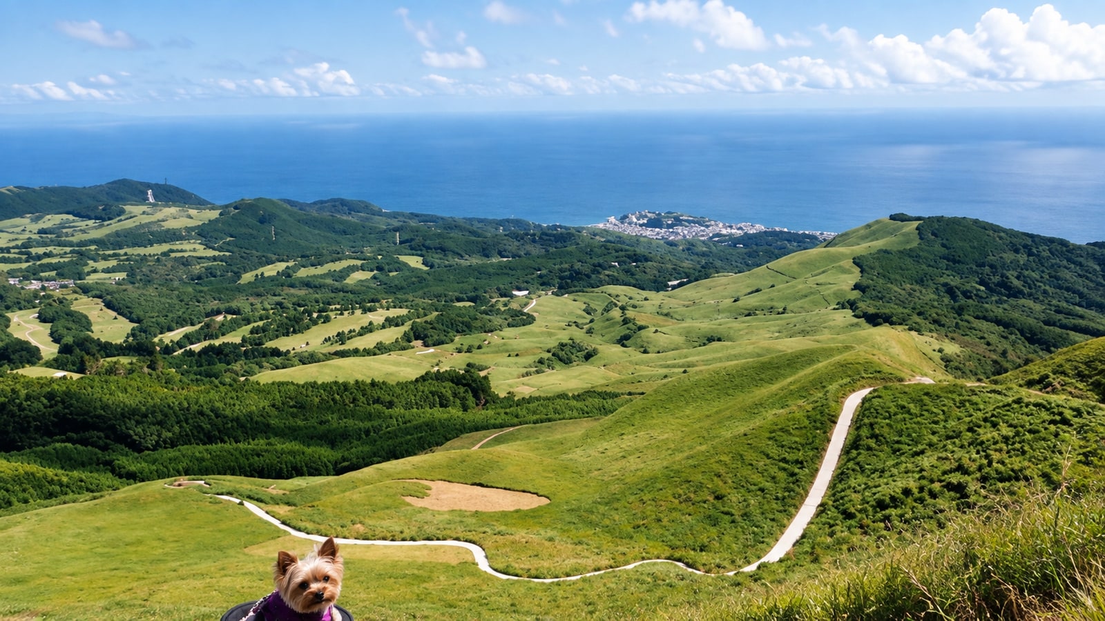 稲取細野高原（AIイメージ画像）