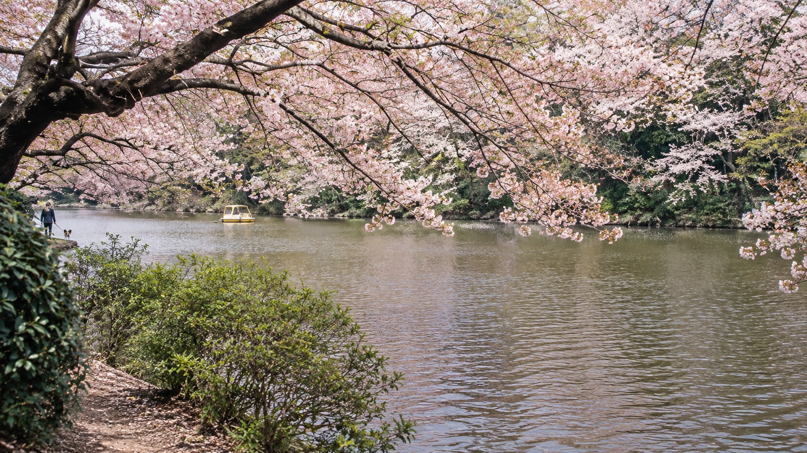 井の頭恩賜公園のAIイメージ画像4