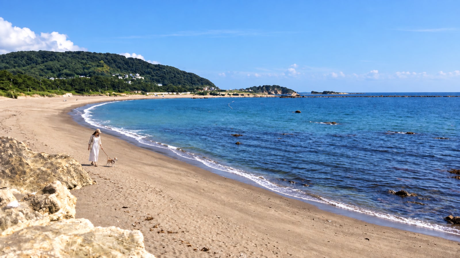 一色海岸（一色海水浴場）（AIイメージ画像）