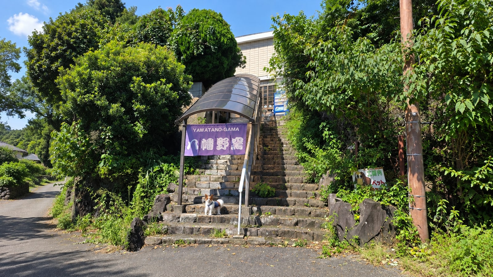伊豆高原体験の里（八幡野窯）のAIイメージ画像2