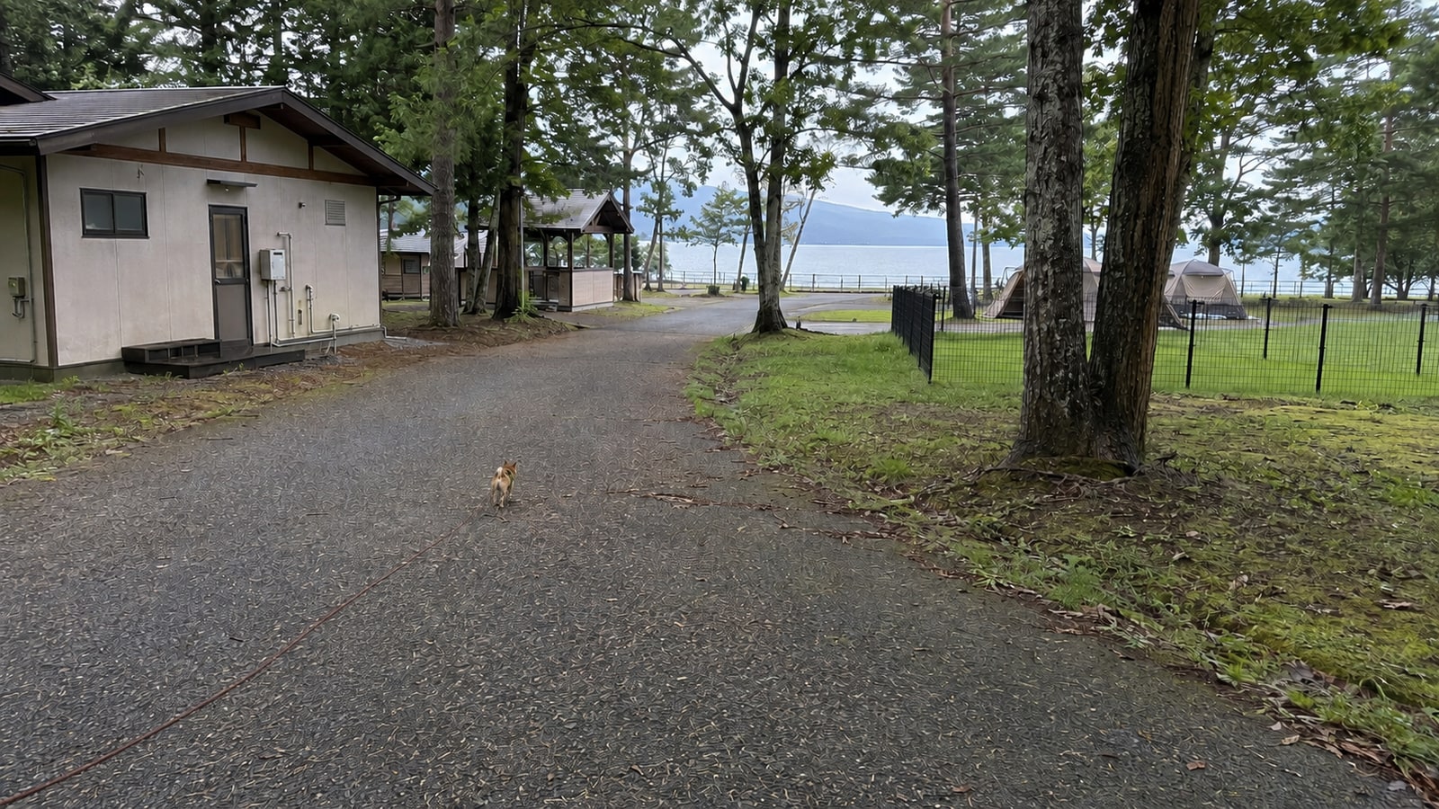 県営田沢湖オートキャンプ場「縄文の森たざわこ」ドッグランのAIイメージ画像3