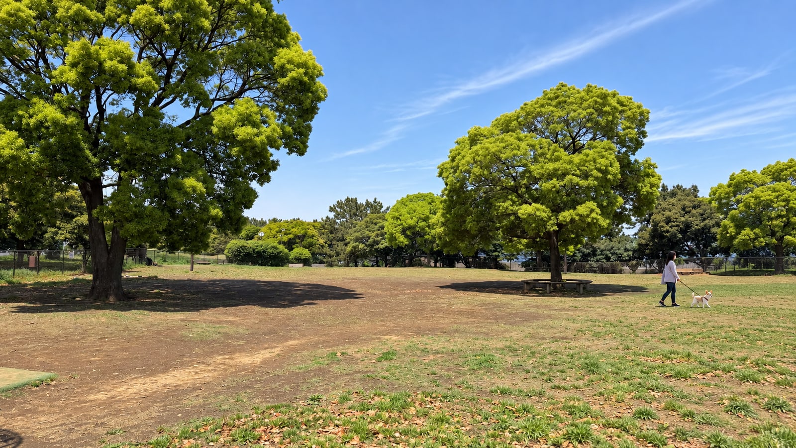 城南島海浜公園 つばさドッグランのAIイメージ画像2