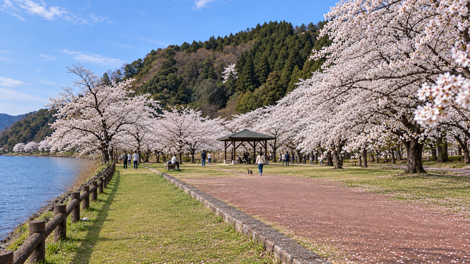 海津大崎の桜並木のAIイメージ画像3
