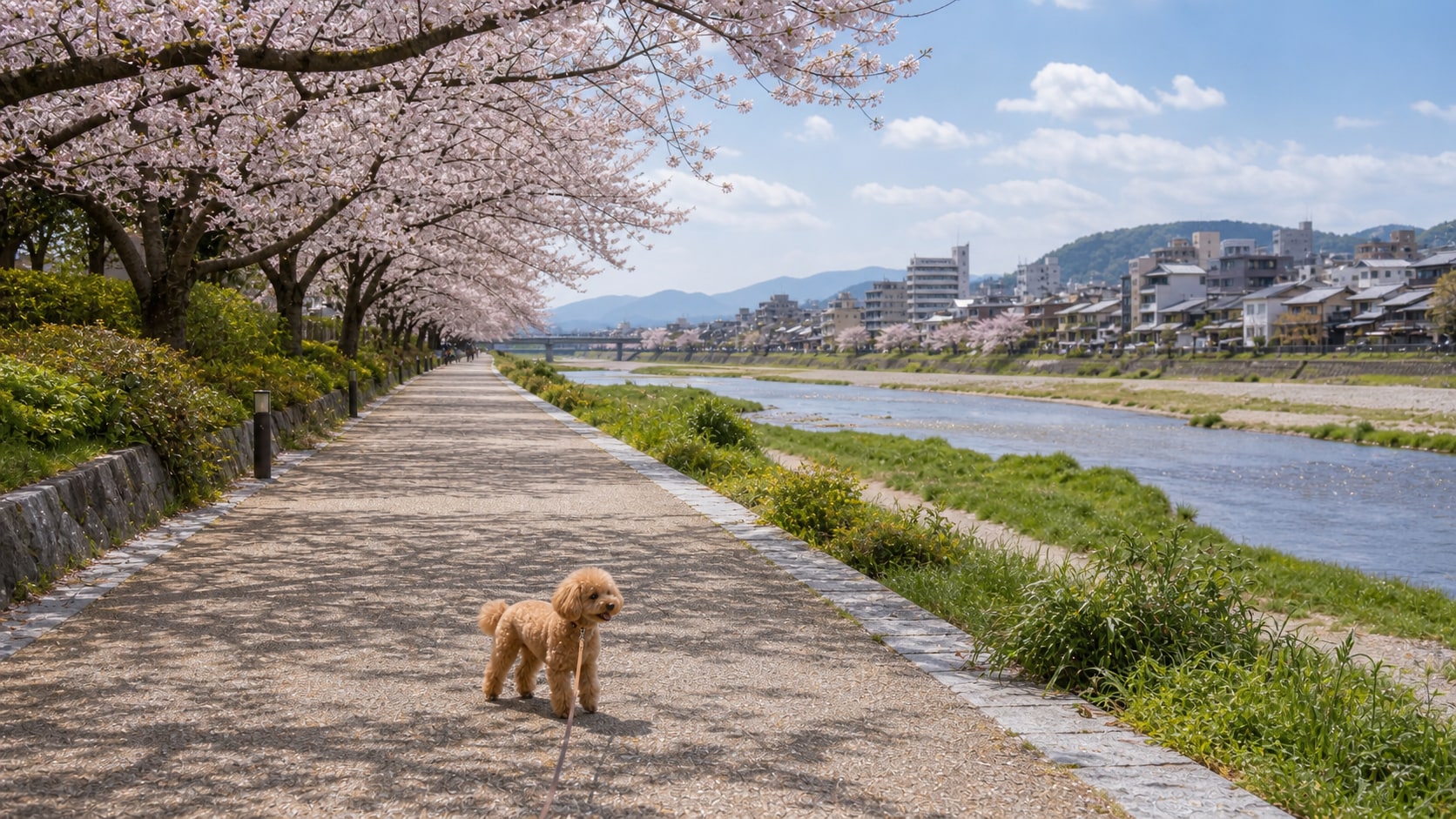 鴨川（鴨川デルタ・河川敷）のAIイメージ画像2