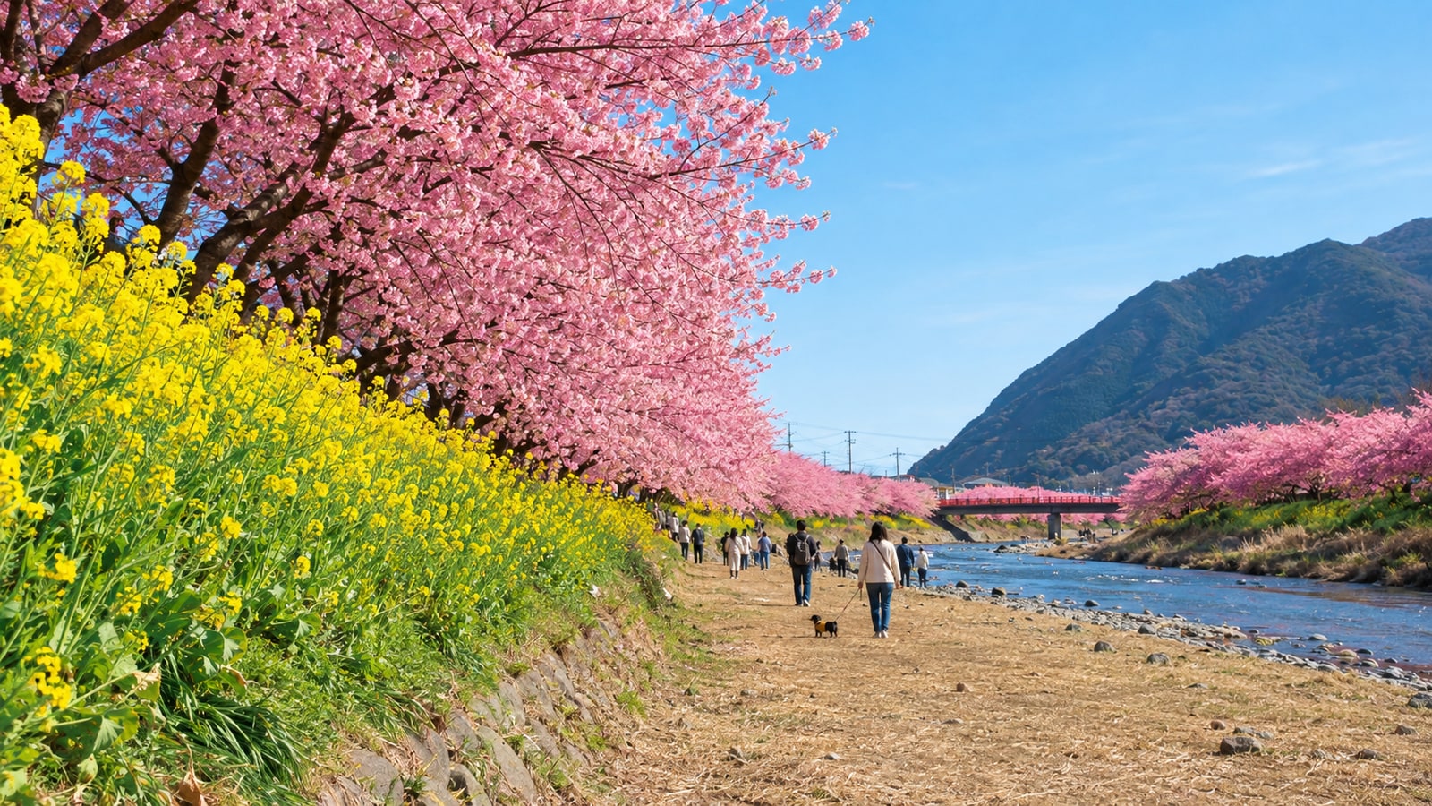 河津桜並木（河津桜まつり・河津川沿い）（AIイメージ画像）