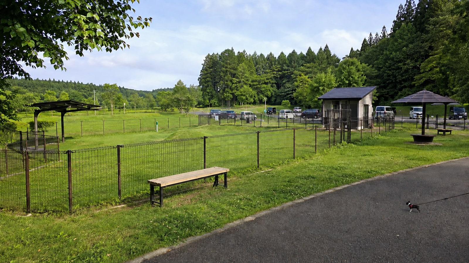 犬都記念公園ドッグラン（AIイメージ画像）