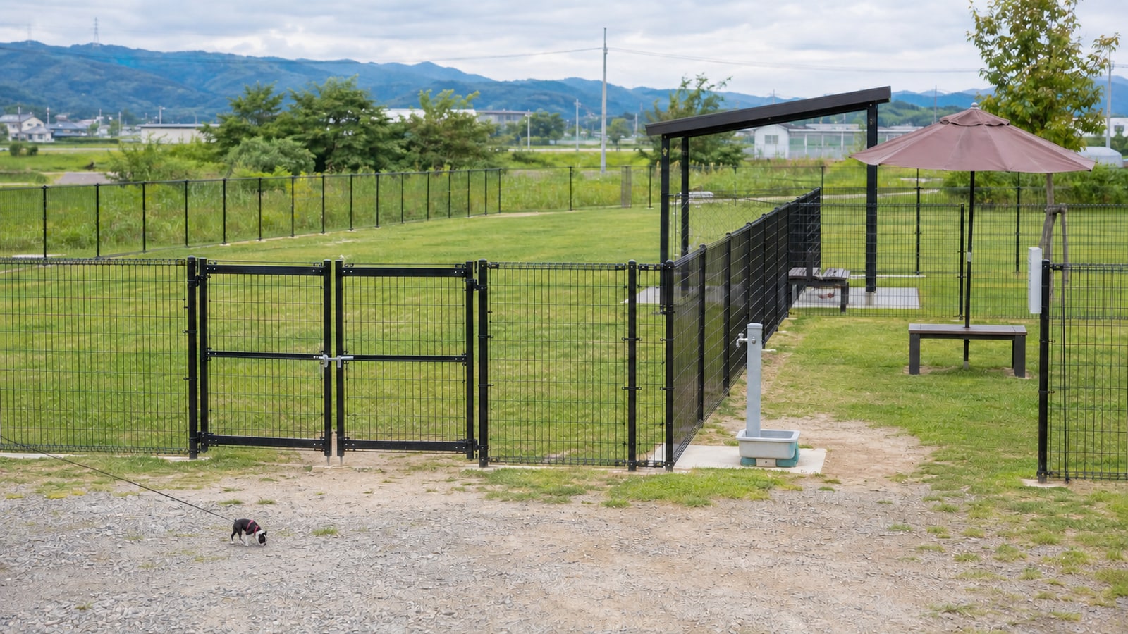 犬都記念公園ドッグランのAIイメージ画像2